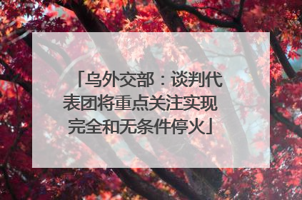 乌外交部：谈判代表团将重点关注实现完全和无条件停火