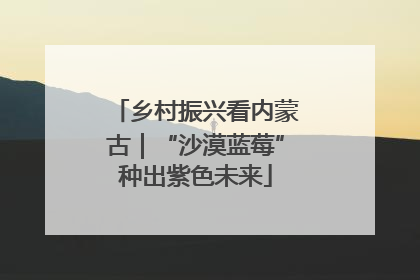 乡村振兴看内蒙古｜“沙漠蓝莓”种出紫色未来