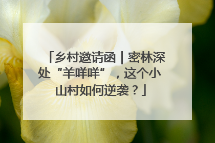 乡村邀请函｜密林深处“羊咩咩”，这个小山村如何逆袭？