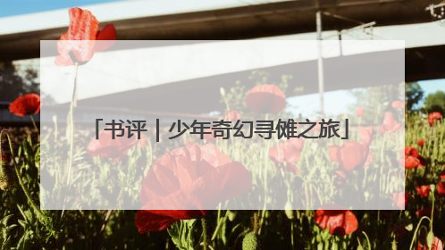 书评｜少年奇幻寻傩之旅