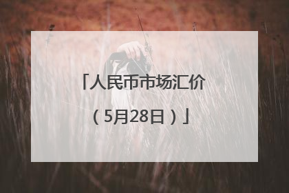 人民币市场汇价（5月28日）