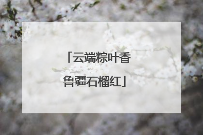 云端粽叶香 鲁疆石榴红