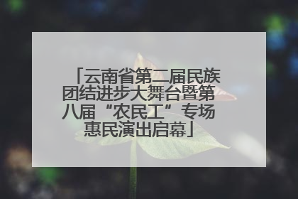 云南省第二届民族团结进步大舞台暨第八届“农民工”专场惠民演出启幕