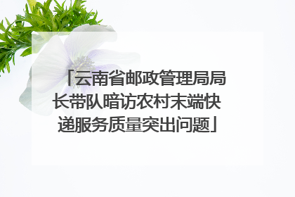 云南省邮政管理局局长带队暗访农村末端快递服务质量突出问题