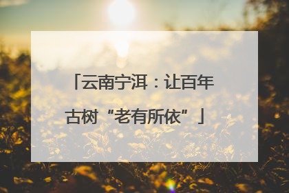 云南宁洱：让百年古树“老有所依”