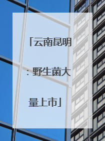 云南昆明：野生菌大量上市