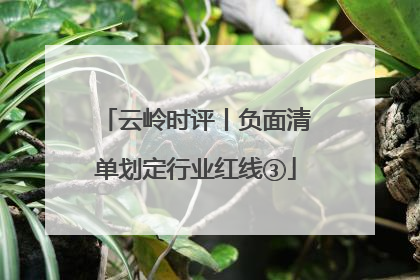 云岭时评丨负面清单划定行业红线③