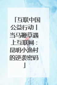 互联中国公益行动丨当马鞭草遇上互联网：昆明小渔村的逆袭密码