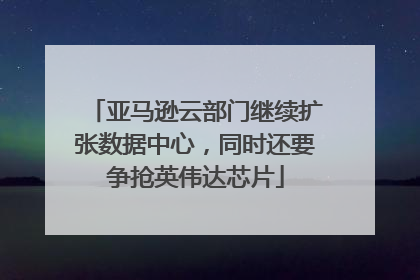 亚马逊云部门继续扩张数据中心，同时还要争抢英伟达芯片