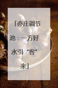 亦庄调节池：一方好水引“客”来