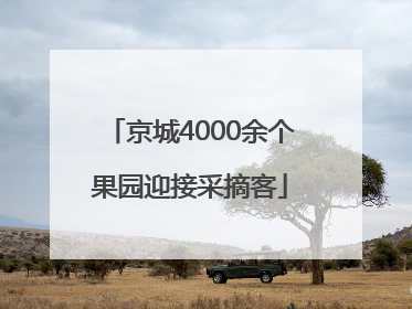 京城4000余个果园迎接采摘客
