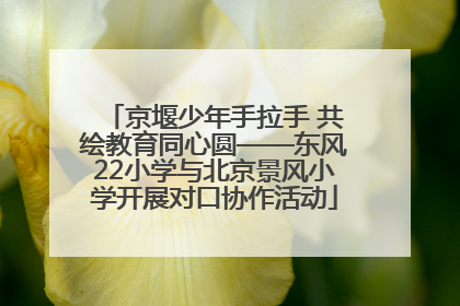 京堰少年手拉手 共绘教育同心圆——东风22小学与北京景风小学开展对口协作活动