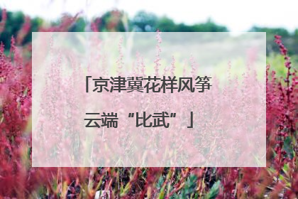 京津冀花样风筝云端“比武”