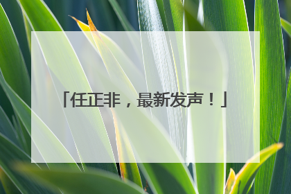 任正非，最新发声！