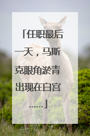 任职最后一天，马斯克眼角淤青出现在白宫……