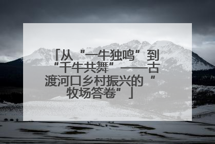 从“一牛独鸣”到“千牛共舞”——古渡河口乡村振兴的“牧场答卷”