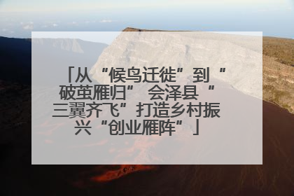 从“候鸟迁徙”到“破茧雁归” 会泽县“三翼齐飞”打造乡村振兴“创业雁阵”