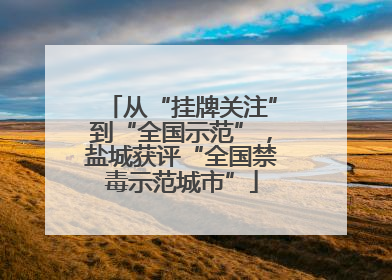 从“挂牌关注”到“全国示范”，盐城获评“全国禁毒示范城市”