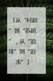 从“村超”到“苏超”，从“追球”到“追求”