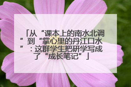 从“课本上的南水北调”到“掌心里的丹江口水”：这群学生把研学写成了“成长笔记”