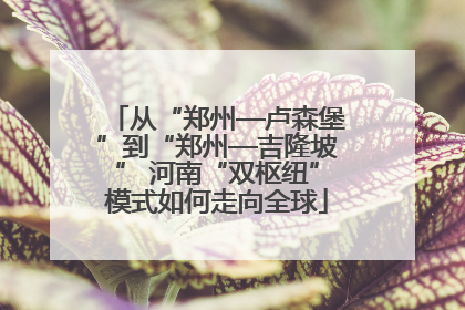 从“郑州—卢森堡”到“郑州—吉隆坡” 河南“双枢纽”模式如何走向全球
