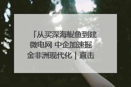 从买深海鳀鱼到建微电网 中企加速掘金非洲现代化｜直击中非经贸博览会