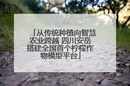 从传统种植向智慧农业跨越 四川安岳搭建全国首个柠檬作物模型平台