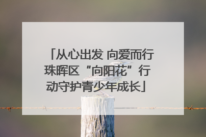 从心出发 向爱而行 珠晖区“向阳花”行动守护青少年成长