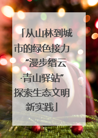 从山林到城市的绿色接力 “漫步缙云·青山驿站”探索生态文明新实践