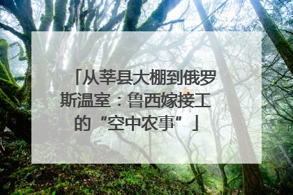 从莘县大棚到俄罗斯温室：鲁西嫁接工的“空中农事”