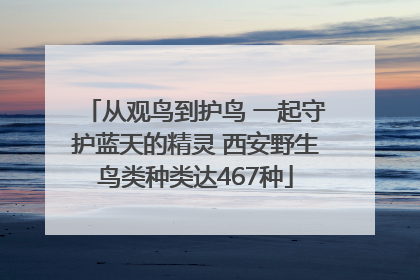 从观鸟到护鸟 一起守护蓝天的精灵 西安野生鸟类种类达467种