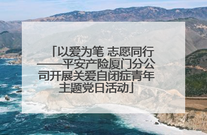 以爱为笔 志愿同行——平安产险厦门分公司开展关爱自闭症青年主题党日活动