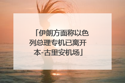 伊朗方面称以色列总理专机已离开本-古里安机场