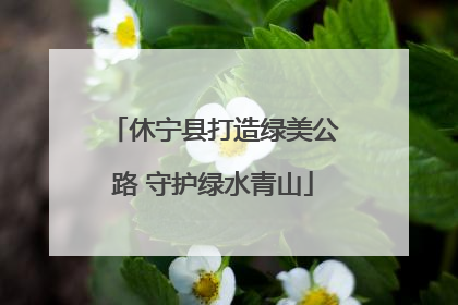 休宁县打造绿美公路 守护绿水青山