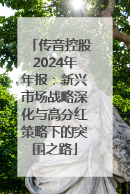 传音控股2024年年报：新兴市场战略深化与高分红策略下的突围之路