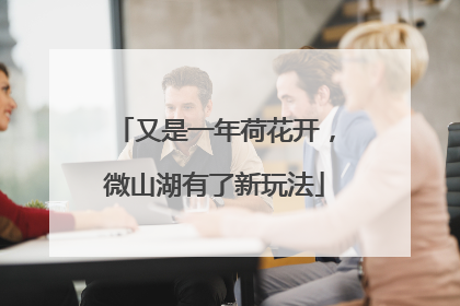 又是一年荷花开，微山湖有了新玩法