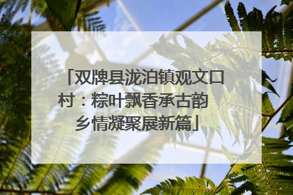 双牌县泷泊镇观文口村：粽叶飘香承古韵 乡情凝聚展新篇