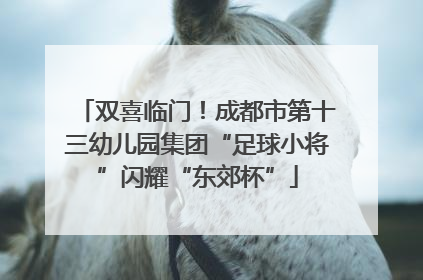 双喜临门！成都市第十三幼儿园集团“足球小将”闪耀“东郊杯”
