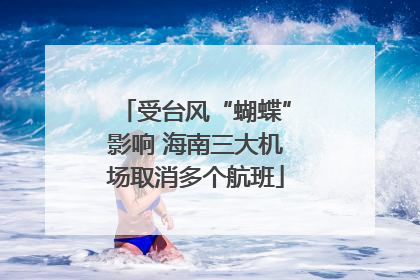 受台风“蝴蝶”影响 海南三大机场取消多个航班