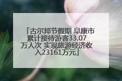 古尔邦节假期 阜康市累计接待游客33.07万人次 实现旅游经济收入23161万元