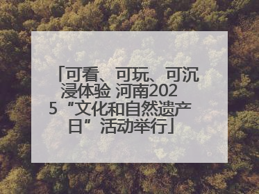 可看、可玩、可沉浸体验 河南2025“文化和自然遗产日”活动举行
