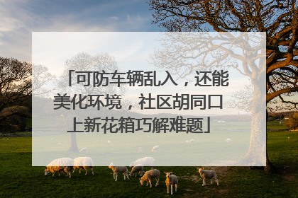 可防车辆乱入，还能美化环境，社区胡同口上新花箱巧解难题