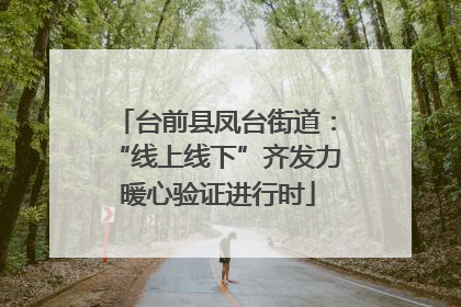 台前县凤台街道：“线上线下”齐发力 暖心验证进行时