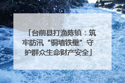 台前县打渔陈镇：筑牢防汛“铜墙铁壁”守护群众生命财产安全