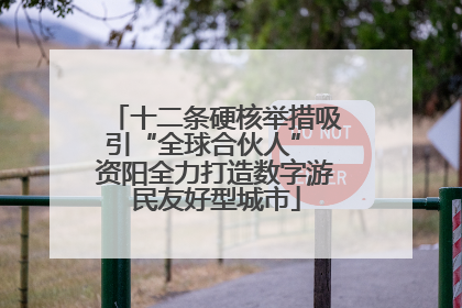 十二条硬核举措吸引“全球合伙人” 资阳全力打造数字游民友好型城市