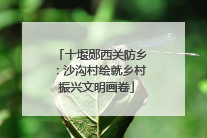 十堰郧西关防乡：沙沟村绘就乡村振兴文明画卷