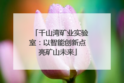 千山湾矿业实验室：以智能创新点亮矿山未来