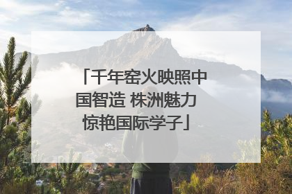 千年窑火映照中国智造 株洲魅力惊艳国际学子