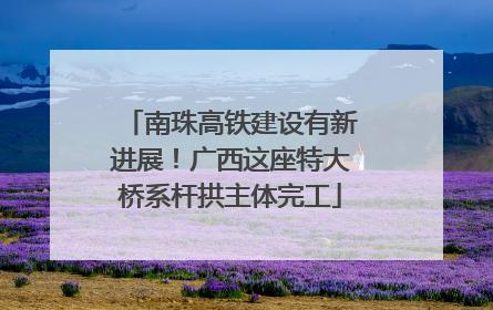 南珠高铁建设有新进展！广西这座特大桥系杆拱主体完工