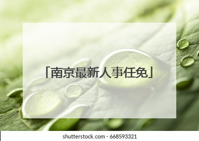 南京最新人事任免